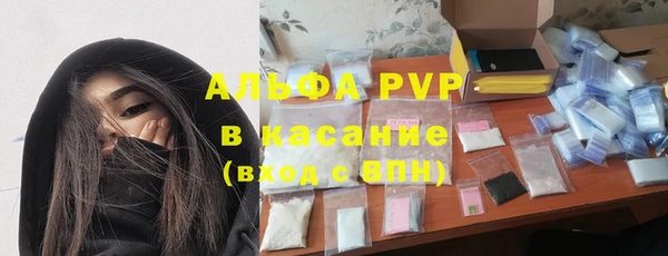 ПСИЛОЦИБИНОВЫЕ ГРИБЫ Заводоуковск