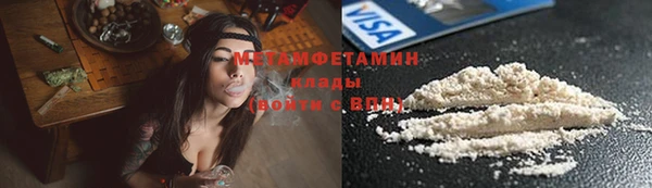 ПСИЛОЦИБИНОВЫЕ ГРИБЫ Заводоуковск