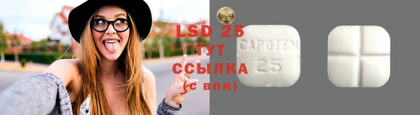 ПСИЛОЦИБИНОВЫЕ ГРИБЫ Заводоуковск