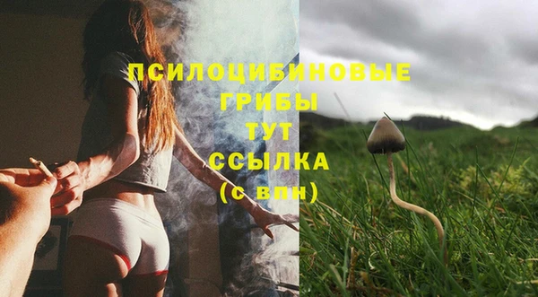 стафф Заволжск