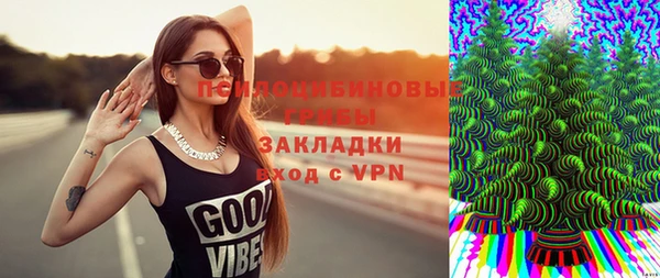 ПСИЛОЦИБИНОВЫЕ ГРИБЫ Заводоуковск