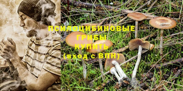 ПСИЛОЦИБИНОВЫЕ ГРИБЫ Заводоуковск