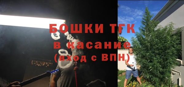 ПСИЛОЦИБИНОВЫЕ ГРИБЫ Заводоуковск