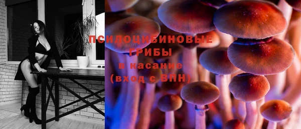 ПСИЛОЦИБИНОВЫЕ ГРИБЫ Заводоуковск