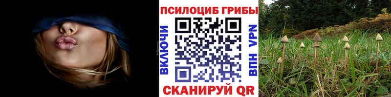 Галлюциногенные грибы мухоморы  Купить где  Зеленогорск 